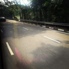 there's something about long bus rides I just enjoy. Maybe it's the gentle lolling motion, the passing scenery, good music in my ears. Bliss.