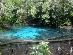 blue pool