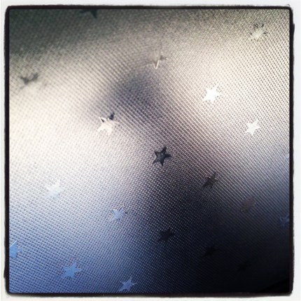 birdie at my window.jpg